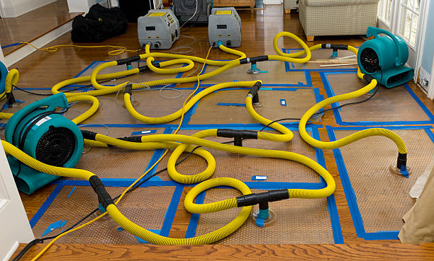 Professional Water Damage Restoration technician working in Sargeant, MN